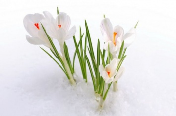 Синоптики сообщили, когда в Украине наступит настоящая весна