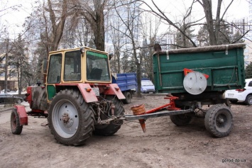 Горзеленстрой: «В Днепре надо обрезать 10 тысяч деревьев»