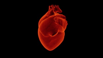 Регулярная нехватка кислорода может снизить последствия ишемической болезни сердца