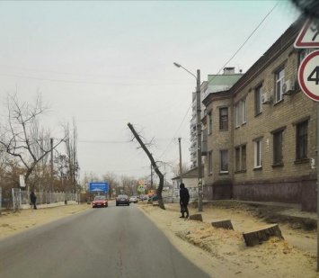 В Приднепровске обрезали и оставили мешать проезду дерево-шлагбаум