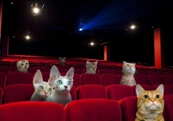 Будь в курсе: в Gagarinn Plaza откроют новый кинотеатр