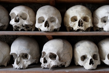 Ученые из России приблизились к раскрытию секрета формирования костей