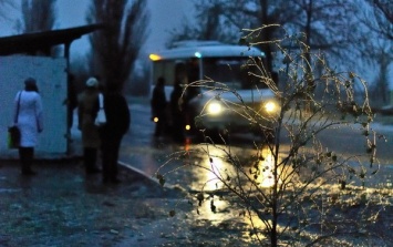Аномальный ветер во Львовской области: 19 населенных пунктов остались без света, объявлено штормовое предупреждение