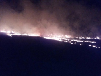 Пожарные за сутки погасили около 50 возгораний сухой травы в трех областях Украины