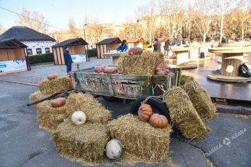 Как Одесса готовятся к ежегодной ярмарки национальной кухни (фоторепортаж)