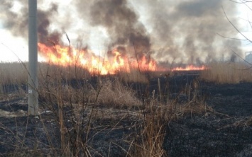 Вчера Голопристанские пожарники тушили возгорание сухой травы и камыша