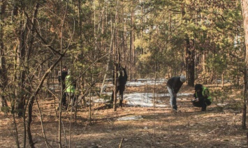 В Киеве в лесу нашли тело женщины