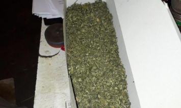 Житель Днепропетровщины хранил около 4 кг марихуаны для лечения головной боли