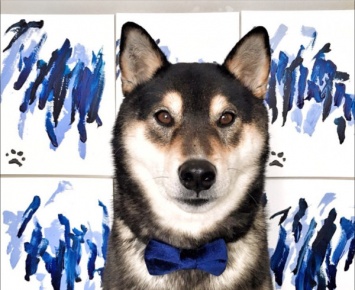 В Канаде хозяева обучили собаку рисовать и заработали на этом более $5000