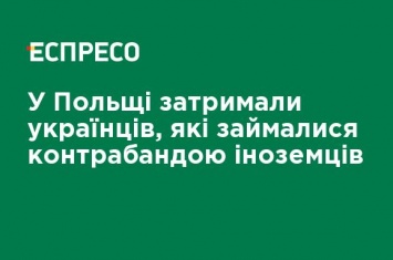 В Польше задержали украинцев, которые занимались контрабандой иностранцев