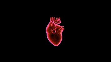 Британские ученые доказали, что «разбитое сердце» может стать причиной смерти