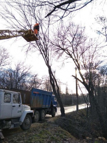 Работы по содержанию зеленых насаждений в Симферополе с приходом весны проводят каждый день, - Коновалов