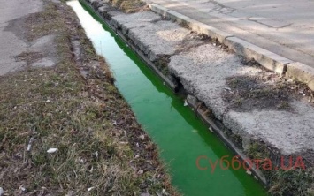 Фотофакт: Жителей Запорожской области напугала "зеленая" вода
