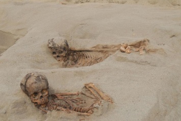 Вырезали сердца живым детям: в Перу нашли масштабное ритуальное захоронение