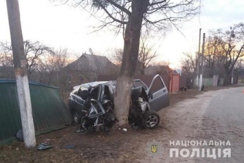 Пять человек разбились насмерть в селе возле Киева, в машине нашли недопитую бутылку водки