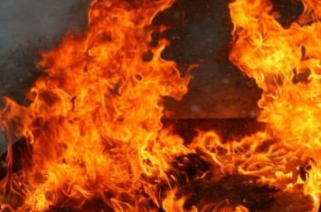 Облили горючим и подожгли: в Одессе устроили расправу над депутатом