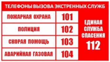 Без полиции, спасателей и скорой - в области нельзя вызвать экстренные службы с мобильного