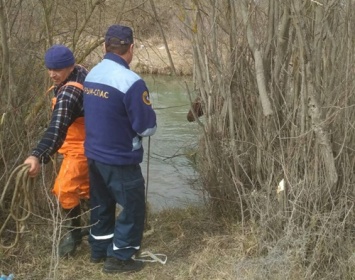 Крымские спасатели вытащили из реки лошадь