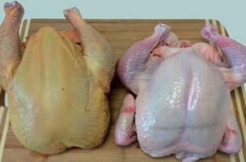 Как очистить от вредных веществ и антибиотиков магазинную курицу