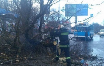 В Украине из-за шквалистого ветра обесточены 47 населенных пунктов