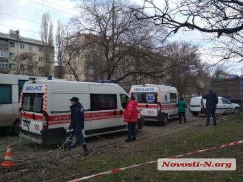 В результате падения дерева на маршрутку в Николаеве госпитализированы 2 детей и взрослый