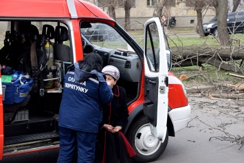 При падении дерева на маршрутку в Николаеве пострадали дети