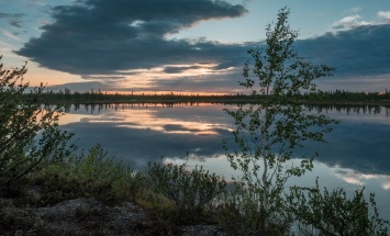 Ученые узнали, какие озера Ямала самые чистые