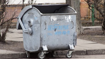 В Харькове школьница расплакалась возле мусорки (фото)