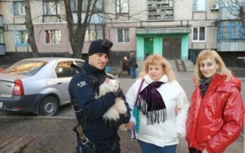 На Днепропетровщине экстремал снял кота с девятиэтажного дома