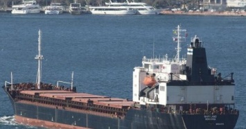 В Керченском проливе сел на мель идущий с грузом из Мариуполя корабль