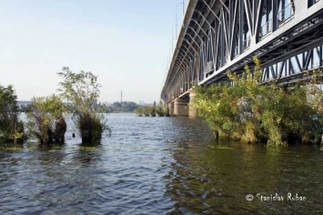 Деревянный мост - легенда Днепра существовал! - блогер