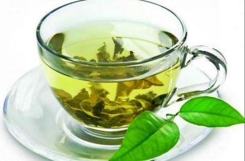 Ученые рассказали о пользе употребления зеленого чая