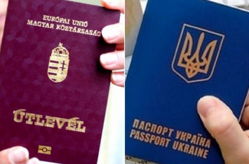 Власть заговорила о введении двойного гражданства в Украине
