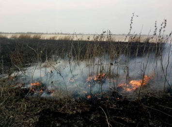 Спасатели погасили пожар возле Малокаховки на Херсонщине