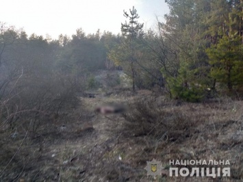 Труп в лесу: под Харьковом зарезали военнослужащего