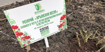 В Железноводске высадили крымские розы