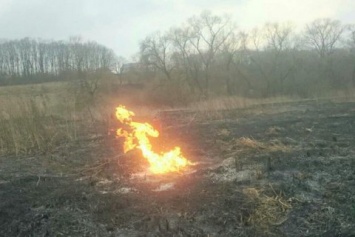 Под Тернополем загорелся газопровод
