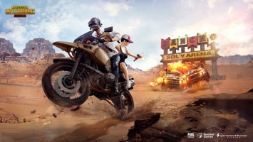 В Индии арестовали 10 человек за игру в PUBG Mobile