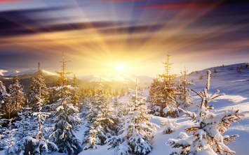 Зима вернулась: в сети показали фото заснеженных Карпат