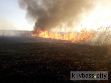 На Днепропетровщине произошло 14 пожаров