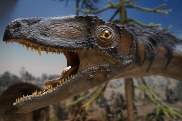 Аллигаторы помогли ученым измерить остроту слуха динозавров