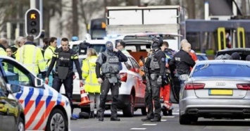 Теракт в Голландии: полиция поймала еще одного подозреваемого