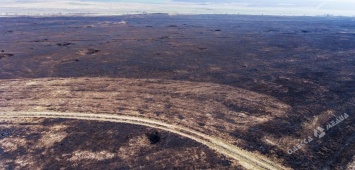 Пожары уничтожили заповедную Тарутинскую степь (фото)