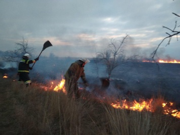 В Одесской области снова горели заповедные плавни