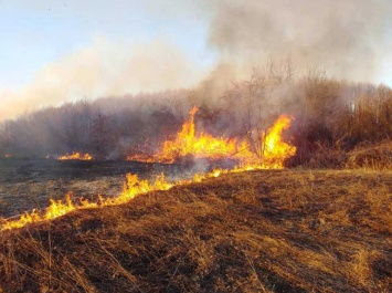 Площадь природных пожаров в России выросла за год в 170 раз