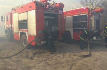 Масштабный пожар на Херсонщине: порывы ветра осложняют ситуацию