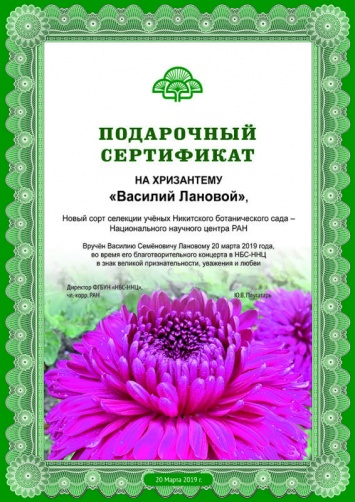 Никитский сад подарил легендарному актеру хризантему «Василий Лановой»
