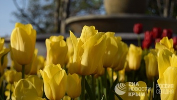 Фонтаны, скамейки, цветы: как Севастополь готовится к сезону