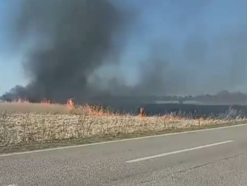 В Ровенской области из-за масштабного пожара ограничили движение на участках дорог М-06 и Т-1801 - Укравтодор