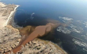 Фотофакт: Река Сухая Московка превратилась в помойку